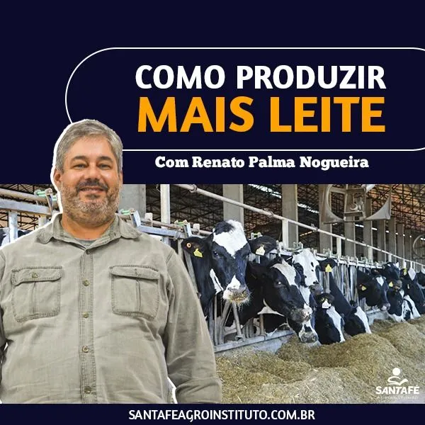 Como Produzir Mais Leite Renato Palma Bom Mesmo