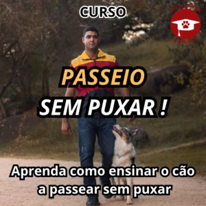 Curso Passeio Sem Puxar 