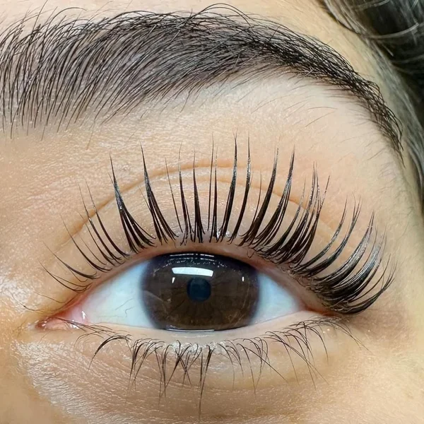 Curso Tamires Pessoa Master Lash e Brow 