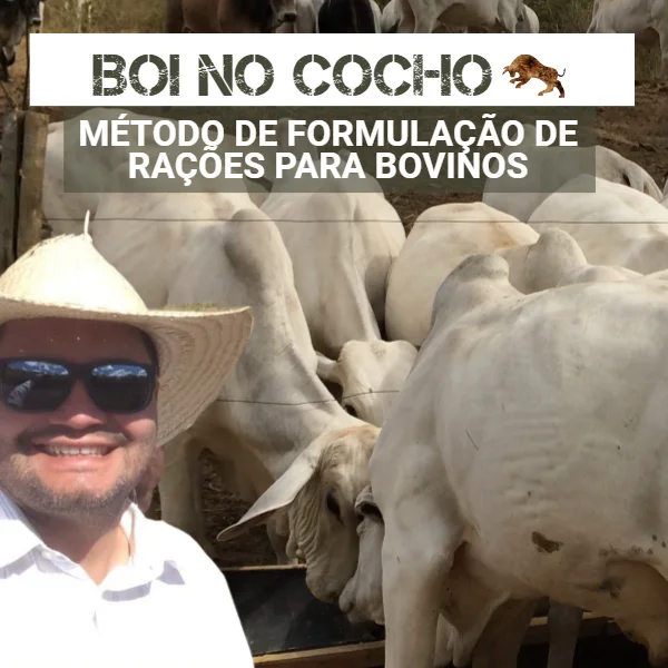 Curso Boi No Cocho Antônio Filho